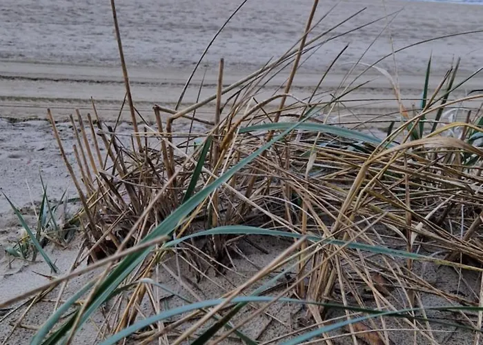 Lazurowe Wybrzeze Jastrzębia Góra